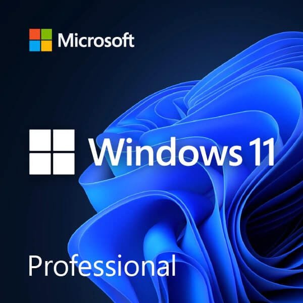 Windows11Professional 1 1